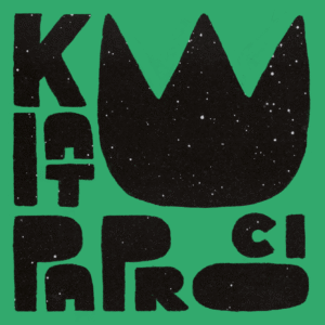 Kwiat paproci